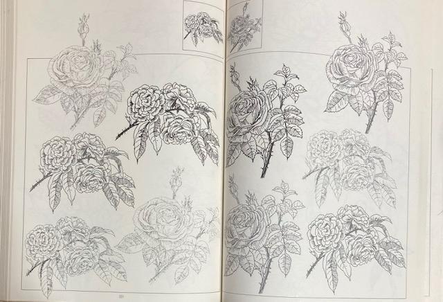 �Ï� �C���X�g �w�Ԃ̃t�H�����x���a53�N ���s�J�C�K�C �Ԃ��Ȃ���`���ł���{�ł��B�艿28000�~ ���a���g�� �� �{/�G���� 