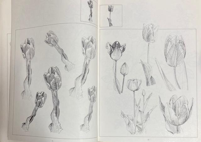 �Ï� �C���X�g �w�Ԃ̃t�H�����x���a53�N ���s�J�C�K�C �Ԃ��Ȃ���`���ł���{�ł��B�艿28000�~ ���a���g�� �� �{/�G���� 