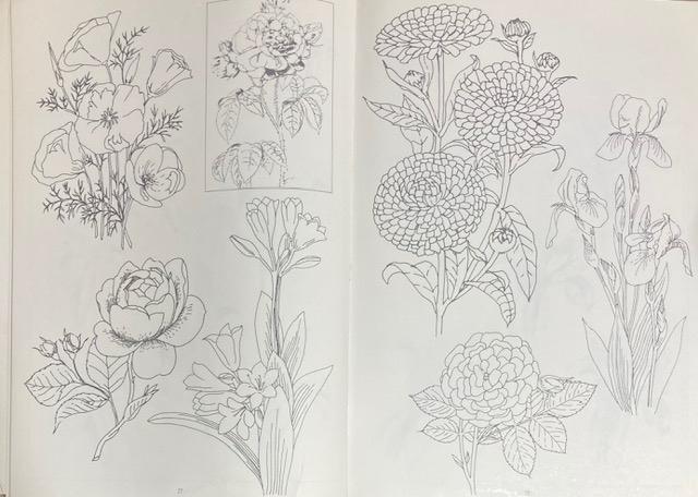 �Ï� �C���X�g �w�Ԃ̃t�H�����x���a53�N ���s�J�C�K�C �Ԃ��Ȃ���`���ł���{�ł��B�艿28000�~ ���a���g�� �� �{/�G���� 