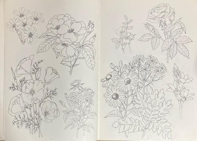 �Ï� �C���X�g �w�Ԃ̃t�H�����x���a53�N ���s�J�C�K�C �Ԃ��Ȃ���`���ł���{�ł��B�艿28000�~ ���a���g�� �� �{/�G���� 