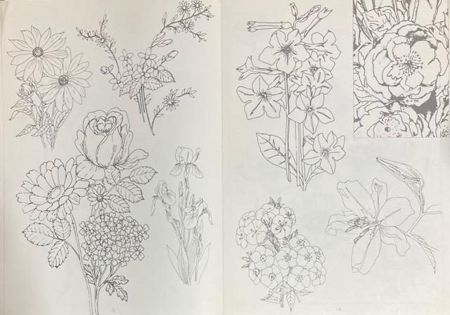 �Ï� �C���X�g �w�Ԃ̃t�H�����x���a53�N ���s�J�C�K�C �Ԃ��Ȃ���`���ł���{�ł��B�艿28000�~ ���a���g�� �� �{/�G���� 