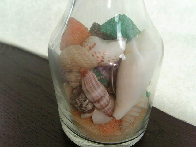 。+゜☆゜+。★。+貝殻のビン詰☆*。.:*:・':★ < インテリア/ライフ  。+゜☆゜+。★。+貝殻のビン詰☆*。.:*:・':★ < インテリア/ライフの