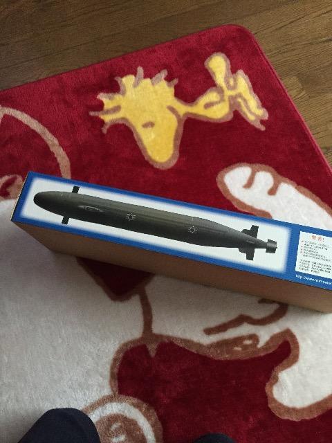 ĊCR SSN-21 U^q͐ V[Et  zr[ 