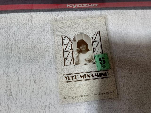 ラミカ 南野陽子 ナンノ < タレントグッズ ラミカ 南野陽子 ナンノ < タレントグッズの