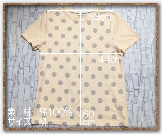 ノーザントラック 水玉Tシャツ アイボリー < 女性ファッション  ノーザントラック 水玉Tシャツ アイボリー < 女性ファッションの