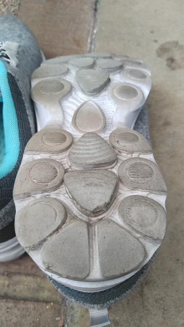 Xj[J[  EH[LO  WMO  U  BEAR  SURF TCYQS.Tcm炢  t@bV 