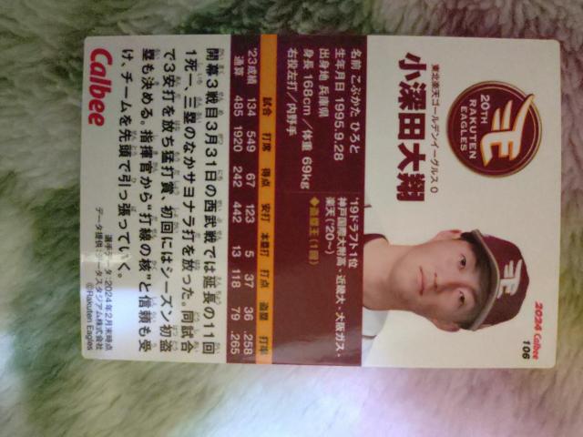 プロ野球チップスカード < トレーディングカード プロ野球チップスカード < トレーディングカードの