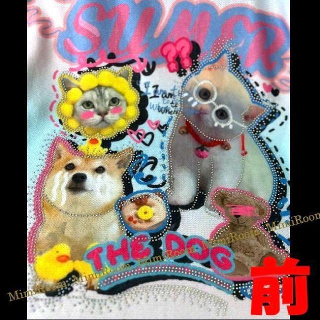 �yFree/�`3L4L5L�z�p�X�e���O���f�[�V�����@�������j���������w�A���j�b�g �� �����t�@�b�V������ 