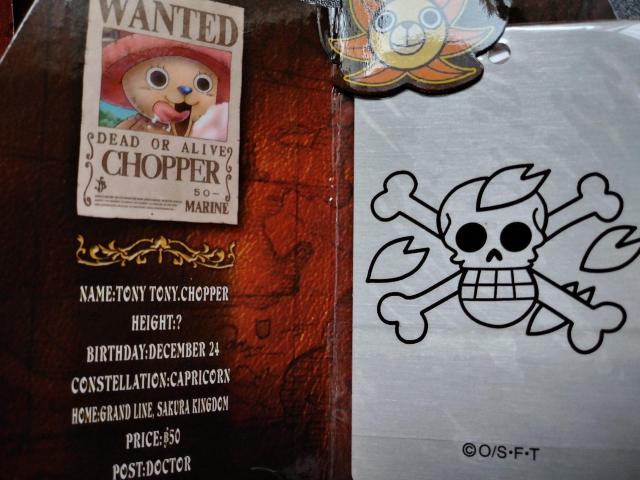 s[X@^z@`bp[@ONE@PIECE  Aj/R~bN/LN^[ 