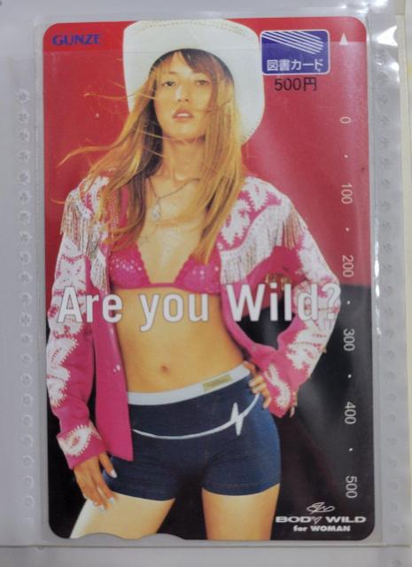 hitomi 図書カード非売品 < チケット/金券  hitomi 図書カード非売品  < チケット/金券の