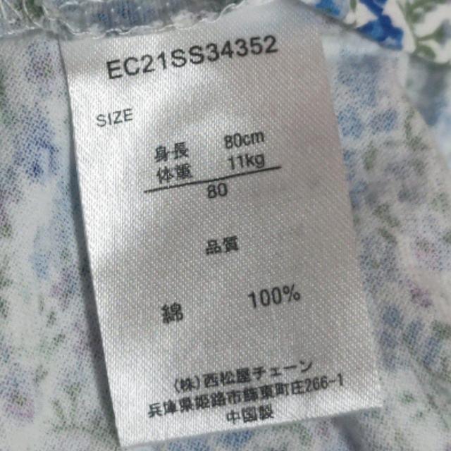 100ԕ`jbN TCY80   LbY/xr[ 