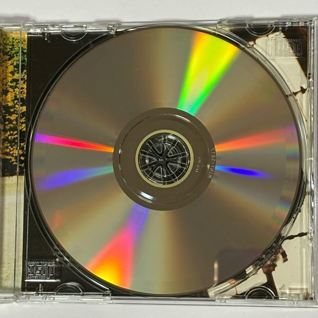 KOTEZ & YANCY / ORGANIC MUSIC �� CD/DVD/�r�f�I�� 