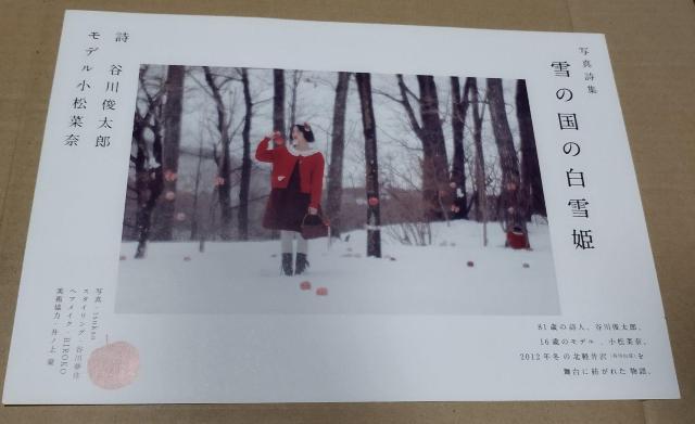 雪の国の白雪姫 谷川俊太郎 小松菜奈 チラシ フライヤー < ホビー  雪の国の白雪姫 谷川俊太郎 小松菜奈 チラシ フライヤー < ホビーの