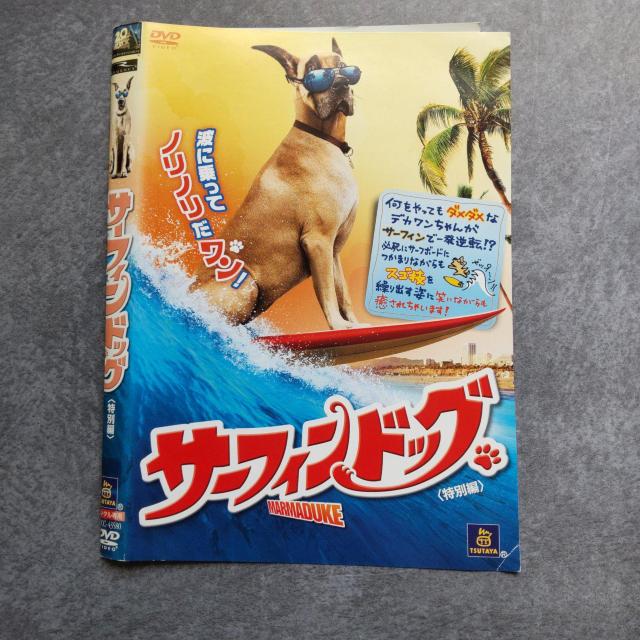 映画DVD★『サーフィン ドッグ(特別編)』★レンタル落ち < CD/DVD/ビデオ  映画DVD★『サーフィン ドッグ(特別編)』★レンタル落ち < CD/DVD/ビデオの