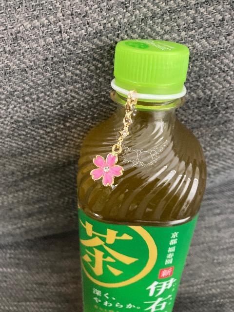 nhCh@Au}[J[3_Zbgi}XN`[t@Xi[`[\j  t@bV 