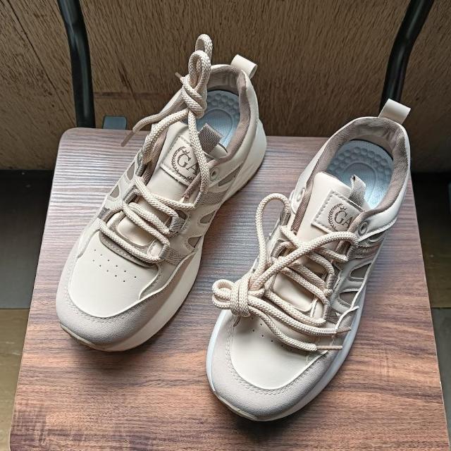 Vi 24cm fB[X Xj[J[ uE V[Y C  gAbv   t@bV 