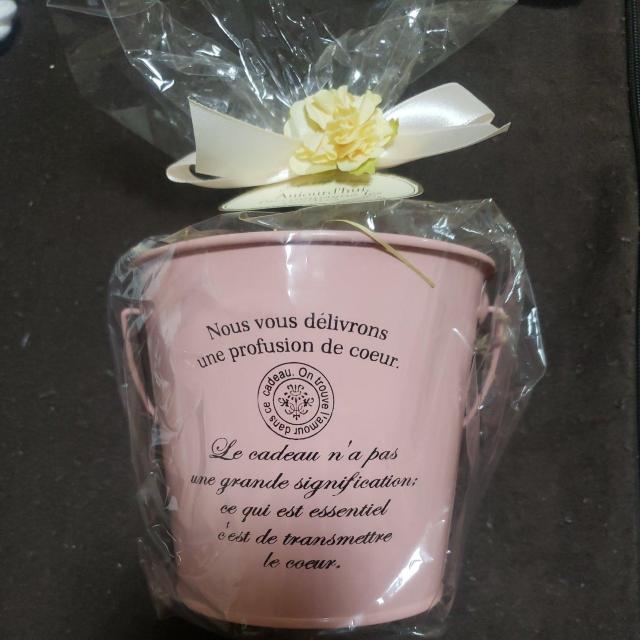 �ʃo�P�c�^  ���g�p�i  �� �C���e���A/���C�t�� 