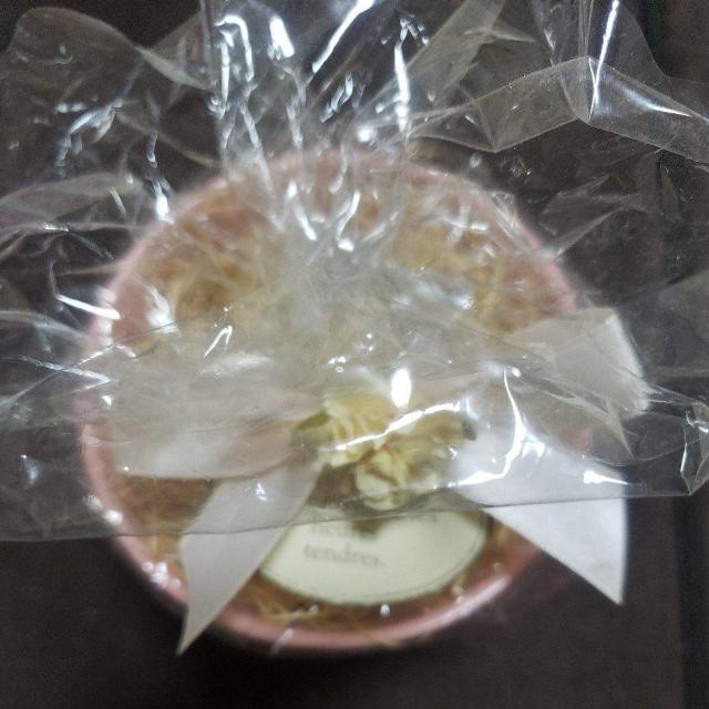 �ʃo�P�c�^  ���g�p�i �� �C���e���A/���C�t�� 