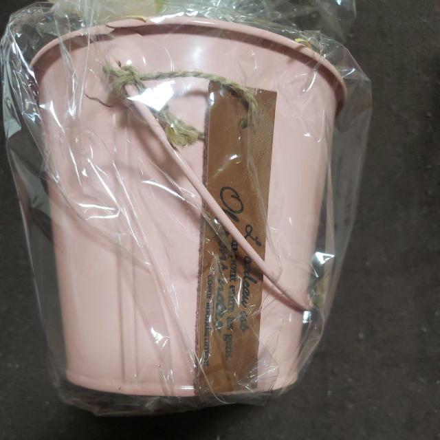 �ʃo�P�c�^  ���g�p�i �� �C���e���A/���C�t�� 