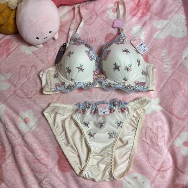 �Z�b�g�A�b�v�@�u���W���[�@�V���[�c 