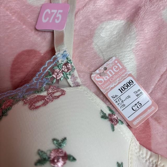 �Z�b�g�A�b�v�@�u���W���[�@�V���[�c