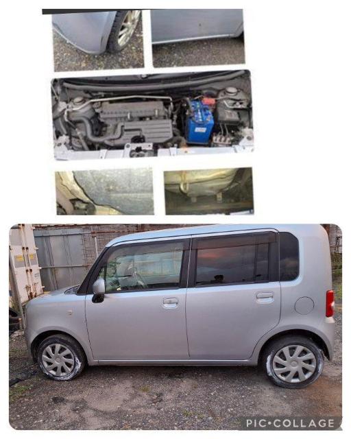 ԌՂQN RsNVXXy[X 2WD Vk  /oCN