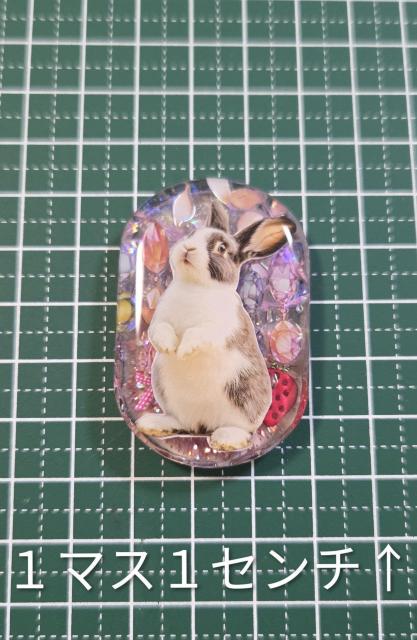 ���������W���l�b�N���X�@�@�������u���[�`�@�@�������L�[�z���_�[�@�@�@�������X�g���b�v�@�@�@�@�������O�b�Y�@�@�l�b�N���X�@ �� �����t�@�b�V������ 