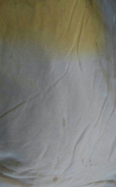 DAYS OF FREEDOM Ȃ@eB[Vc  t@bV 