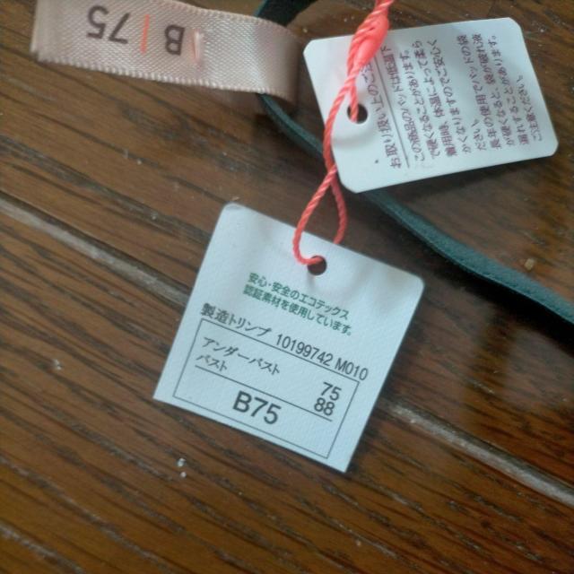 トリンプ アモスタイル ワイヤーブラジャー B75/B75 新品 グリーン < 女性ファッション  トリンプ アモスタイル ワイヤーブラジャー B75/B75 新品 グリーン < 女性ファッションの