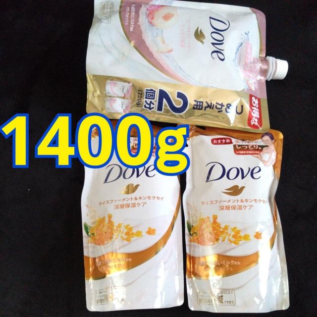 ʉi Dove {fB[\[v R t ؍ҁAs[`&XC[gs[ 