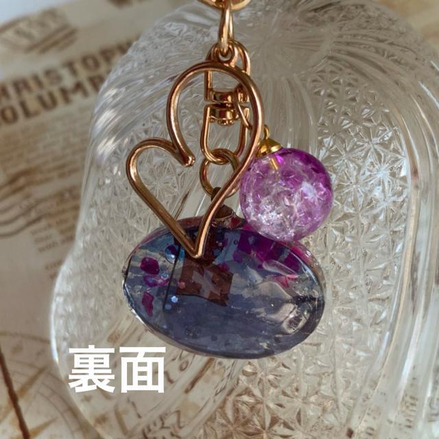 モルモットの新婚旅行 キーホルダー D 送料無料 < 女性ファッション  モルモットの新婚旅行 キーホルダー D 送料無料 < 女性ファッションの