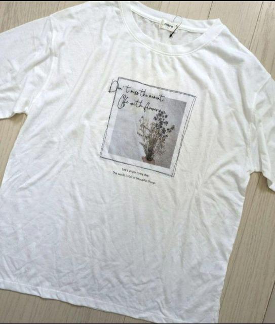 L★maca★アンサンブル★シアーカットソー+半袖Tシャツ★新品★送料無料 < 女性ファッション  L★maca★アンサンブル★シアーカットソー+半袖Tシャツ★新品★送料無料 < 女性ファッションの