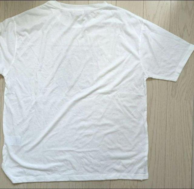 L★maca★アンサンブル★シアーカットソー+半袖Tシャツ★新品★送料無料 < 女性ファッション  L★maca★アンサンブル★シアーカットソー+半袖Tシャツ★新品★送料無料 < 女性ファッションの