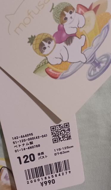 @tTh@LbYTVc120   LbY/xr[ 