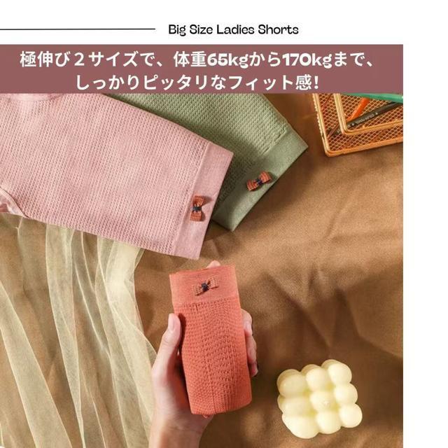 ɐL V[X fB[XV[c 6Zbg  傫TCY 4L`10L Rbg Ci[ n Xgb`   t@bV 