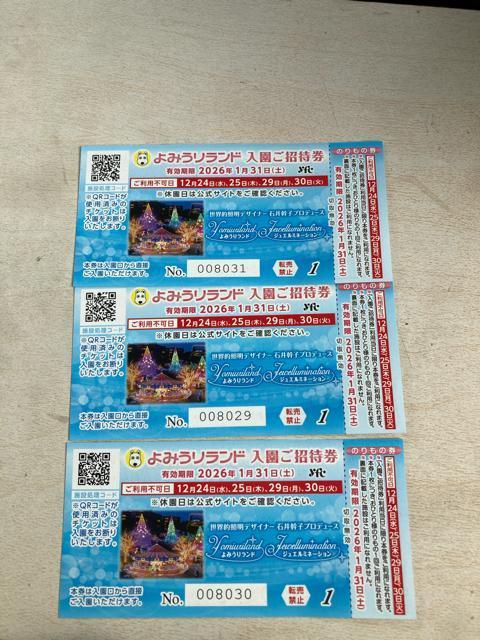 よみうりランド 入場券 3枚 < チケット/金券 よみうりランド 入場券 3枚 < チケット/金券の