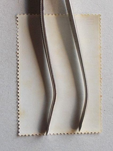 ygpz1961N@؎Tԁ@W}@P  zr[ 