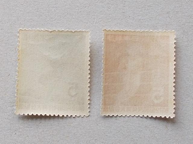 ygpz1957N@PQ񍑑̋LO Q  zr[ 