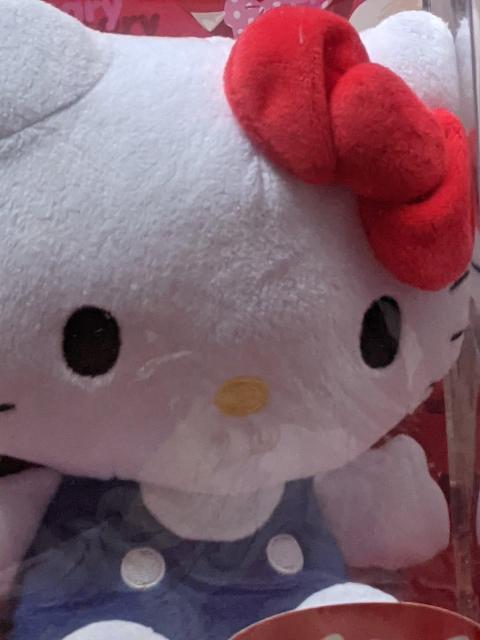 ハローキティ50thアニバーサリー当りくじB点セット(ぬいぐるみセット、メラミンプレート、クリアファイルセット) < おもちゃ ハローキティ50thアニバーサリー当りくじB点セット(ぬいぐるみセット、メラミンプレート、クリアファイルセット) < おもちゃの