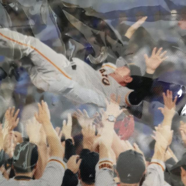 ジャイアンツの巾着 < タレントグッズ ジャイアンツの巾着 < タレントグッズの