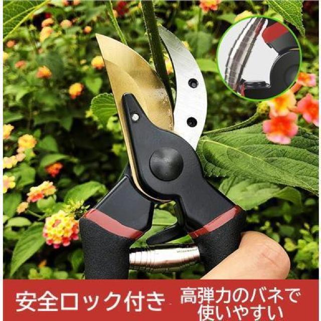 剪定ばさみ 強力 はさみ ハサミ チタンメッキ 庭 木 ガーデニング 滑り止め 園芸 枝切り 枝 切り ロック 作業 < ペット/手芸/園芸  剪定ばさみ 強力 はさみ ハサミ チタンメッキ 庭 木 ガーデニング 滑り止め 園芸 枝切り 枝 切り ロック 作業 < ペット/手芸/園芸の