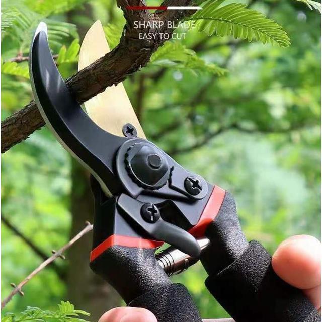 剪定ばさみ 強力 はさみ ハサミ チタンメッキ 庭 木 ガーデニング 滑り止め 園芸 枝切り 枝 切り ロック 作業 < ペット/手芸/園芸  剪定ばさみ 強力 はさみ ハサミ チタンメッキ 庭 木 ガーデニング 滑り止め 園芸 枝切り 枝 切り ロック 作業 < ペット/手芸/園芸の