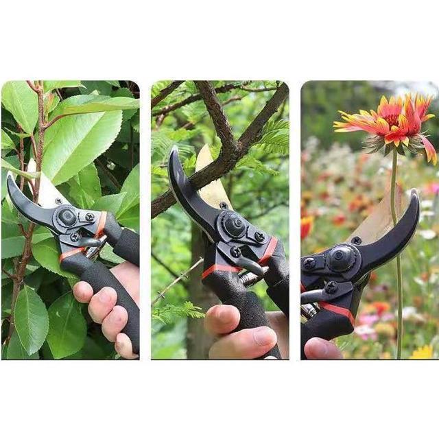 剪定ばさみ 強力 はさみ ハサミ チタンメッキ 庭 木 ガーデニング 滑り止め 園芸 枝切り 枝 切り ロック 作業 < ペット/手芸/園芸  剪定ばさみ 強力 はさみ ハサミ チタンメッキ 庭 木 ガーデニング 滑り止め 園芸 枝切り 枝 切り ロック 作業 < ペット/手芸/園芸の