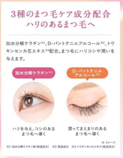 �p�[�t�F�N�g�����@��pSP�����N���`���[���N���[���@15g�@��2�J���� �� �u�����h�� 