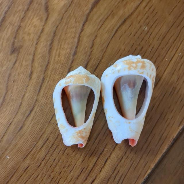 箸置き < インテリア/ライフ 箸置き < インテリア/ライフの