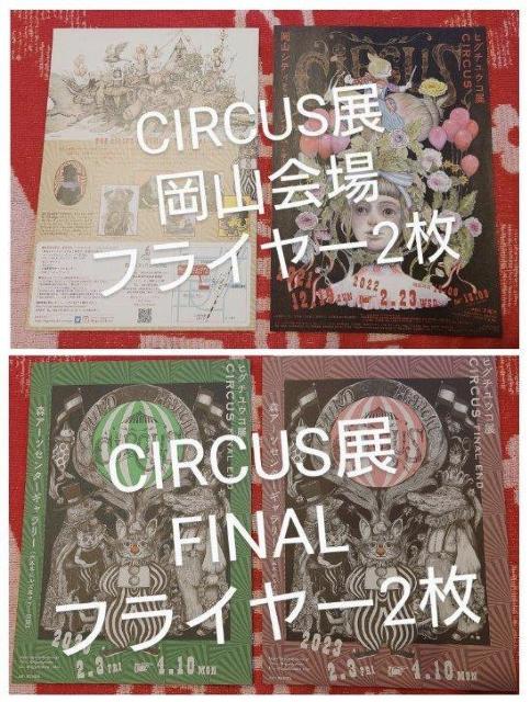 �q�O�`���E�R�@�F�X�Z�b�g�@CIRCUS�W�@�N���A�t�@�C���@�t���C���[�@�g�����v�o���@�X�e�b�J�[�@�A�C�X�p�b�P�[�W �� �z�r�[�� 