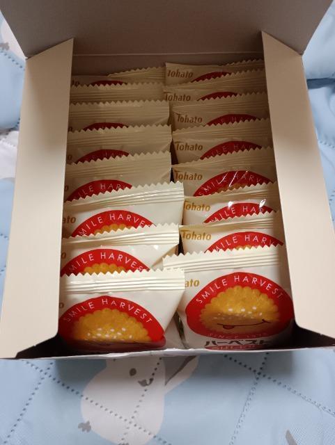 東ハト、ハーベスト箱入り、香ばしセサミ < グルメ/ドリンク 東ハト、ハーベスト箱入り、香ばしセサミ < グルメ/ドリンクの