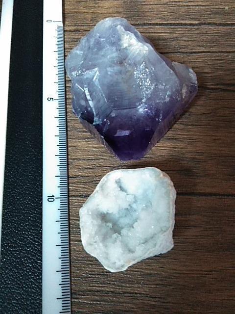 �V�R�΂܂Ƃߔ���@�����Z�b�g�� �� �z�r�[�� 