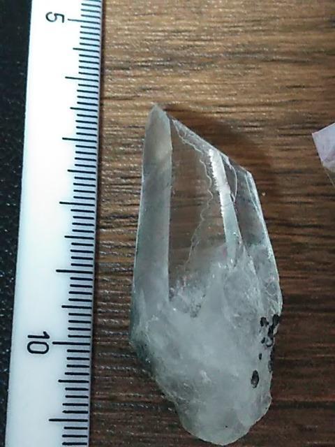 �V�R�΂܂Ƃߔ���@�����Z�b�g�� �� �z�r�[�� 