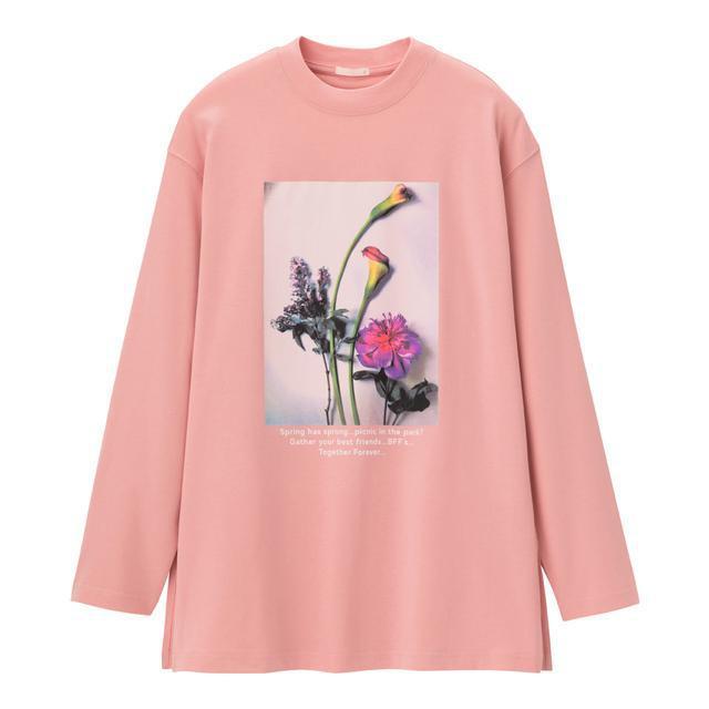 GUOtBbNOX[uT()B@STCY@sN ԁ@t[  uh 